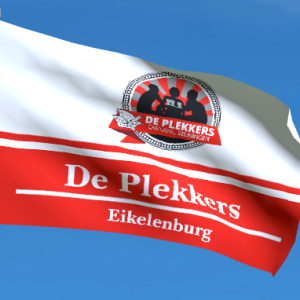 Plekkersvlag 300x200 cm